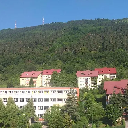 Apartment Casuta Nataliei *