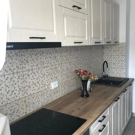 Apartment Casuta Nataliei Brasov
